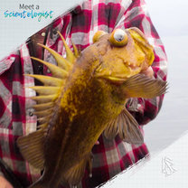 Meet a Scientologist Mike Lindgren